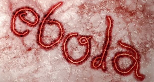 Ebola Contagiati 700mila Ipocondriaci Lercio